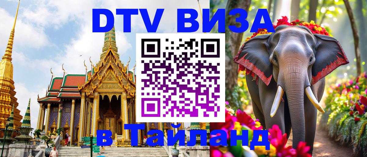 Оформление DTV визы под ключ: стоимость и тарифы, только загранпаспорт - 04.10.2025 